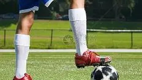 米兰体育 产品 134600 ldz