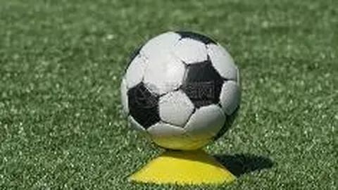 四川女篮在大湾区斩获1金1银1铜，刷新全运最佳战绩