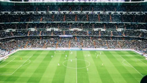 官方对辽篮观众干扰赛事行为实施处罚：削减五万经费及取消优秀赛区评选资格